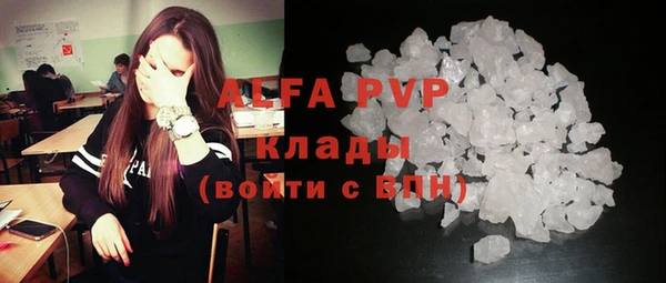apvp Кукмор