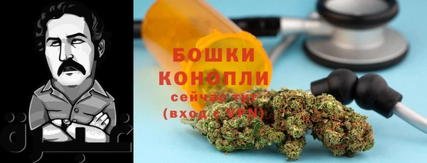 apvp Кукмор