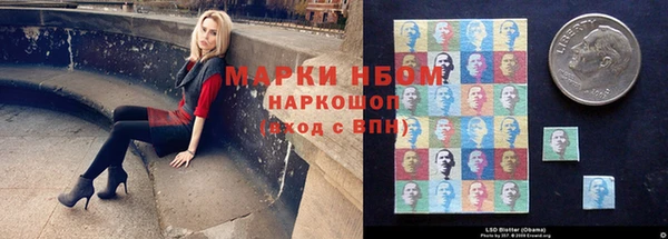 apvp Кукмор