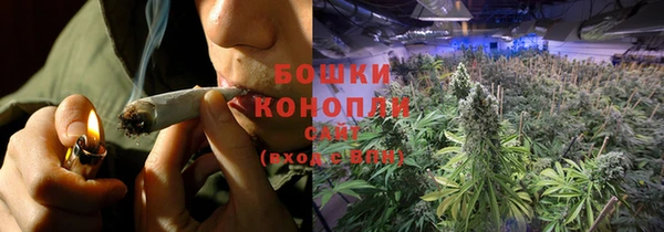 apvp Кукмор