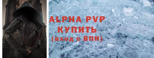 apvp Кукмор