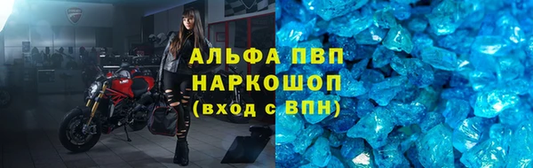apvp Кукмор