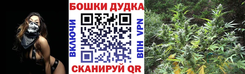 Бошки Шишки THC 21%  Купить  Поворино 